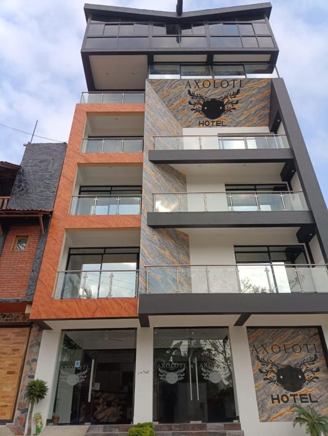 Hotel Axolotl Puerto Escondido  Exterior photo