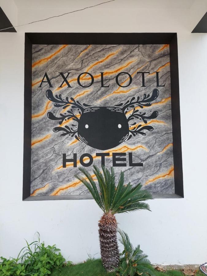 Hotel Axolotl Puerto Escondido  Exterior photo